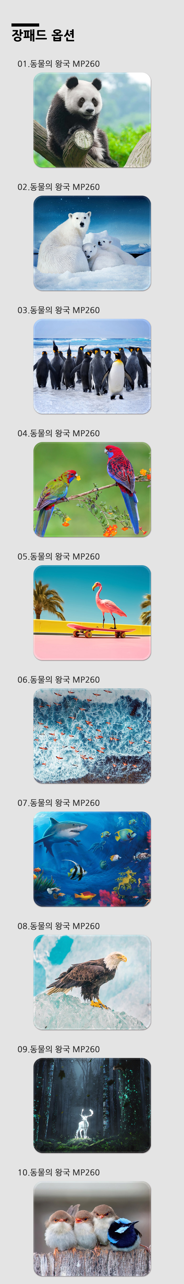 x800M8Ox3J